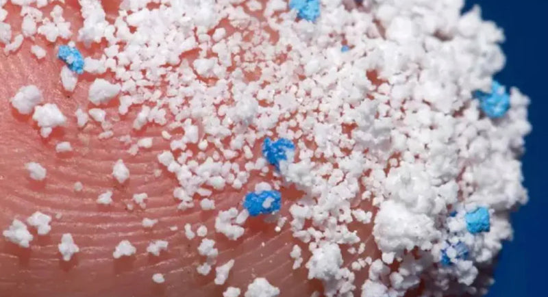 2010 — The Microplastic Alarm
