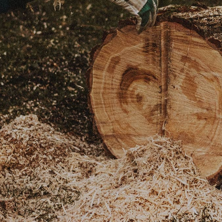 Wood chips being processed into pulp for Tencel lyocell fibre